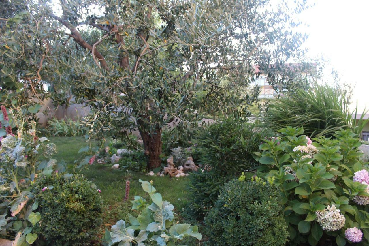 Apartment Sara Novi Vinodolski Bagian luar foto